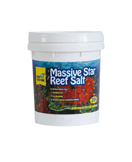 Massive Star LPS Reef Salt